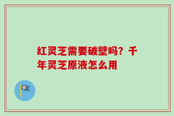 红灵芝需要破壁吗？千年灵芝原液怎么用