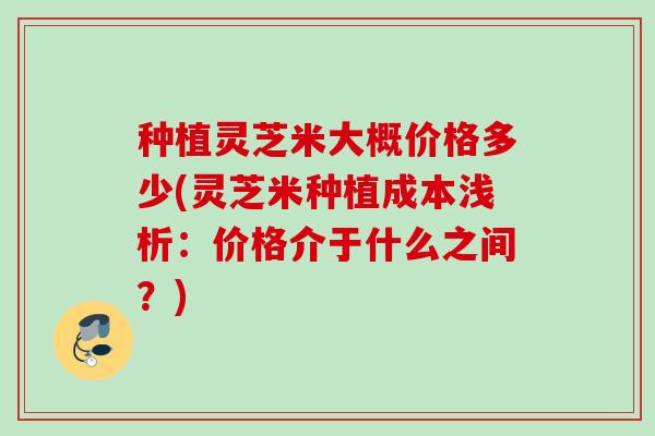 种植灵芝米大概价格多少(灵芝米种植成本浅析：价格介于什么之间？)