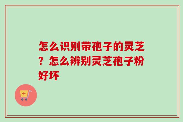 怎么识别带孢子的灵芝？怎么辨别灵芝孢子粉好坏