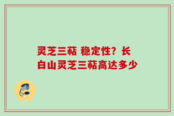 灵芝三萜 稳定性？长白山灵芝三萜高达多少