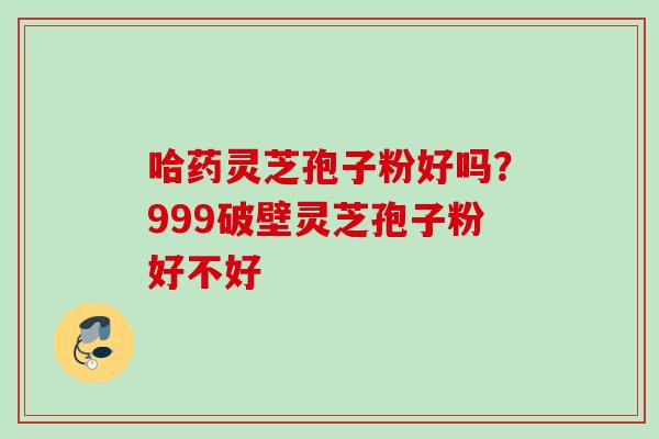 哈药灵芝孢子粉好吗？999破壁灵芝孢子粉好不好