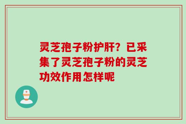 灵芝孢子粉?已采集了灵芝孢子粉的灵芝功效作用怎样呢 灵芝孢子粉?已采集了灵芝孢子粉的灵芝功效作用怎样呢