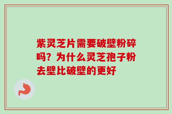 紫灵芝片需要破壁粉碎吗？为什么灵芝孢子粉去壁比破壁的更好