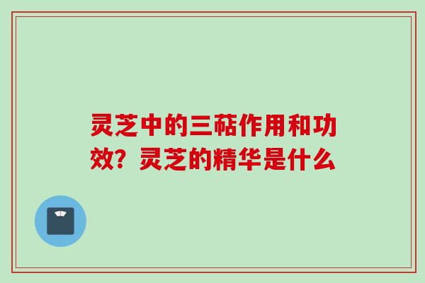 灵芝中的三萜作用和功效?灵芝的精华是什么 灵芝中的三萜作用和功效?灵芝的精华是什么