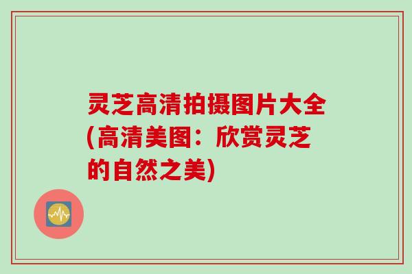 灵芝高清拍摄图片大全(高清美图：欣赏灵芝的自然之美)
