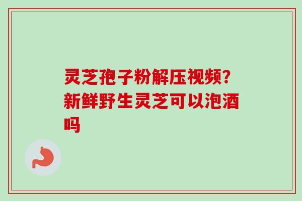 灵芝孢子粉解压视频?新鲜野生灵芝可以泡酒吗 灵芝孢子粉解压视频?新鲜野生灵芝可以泡酒吗