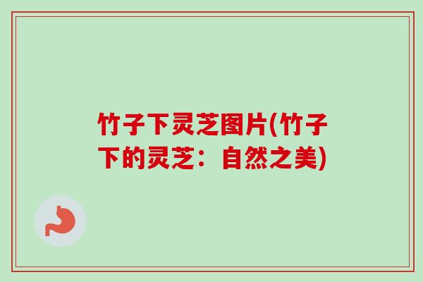 竹子下灵芝图片(竹子下的灵芝：自然之美)