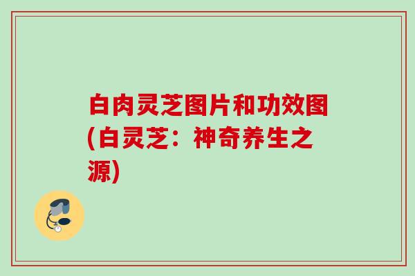 白肉灵芝图片和功效图(白灵芝：神奇养生之源)