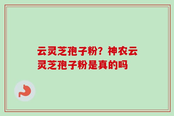 云灵芝孢子粉？神农云灵芝孢子粉是真的吗