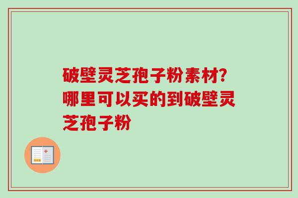 破壁灵芝孢子粉素材？哪里可以买的到破壁灵芝孢子粉