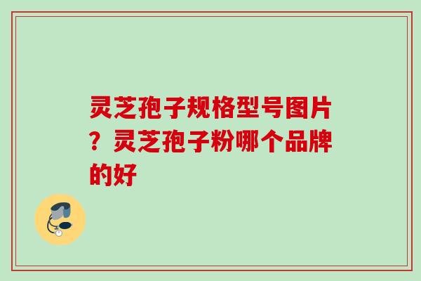 灵芝孢子规格型号图片？灵芝孢子粉哪个品牌的好