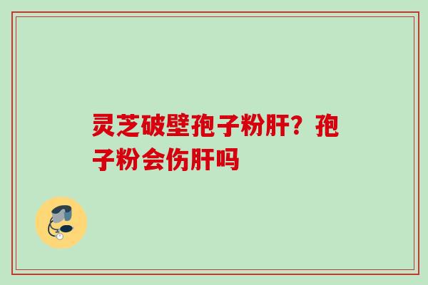 灵芝破壁孢子粉肝？孢子粉会伤肝吗