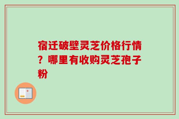 宿迁破壁灵芝价格行情？哪里有收购灵芝孢子粉