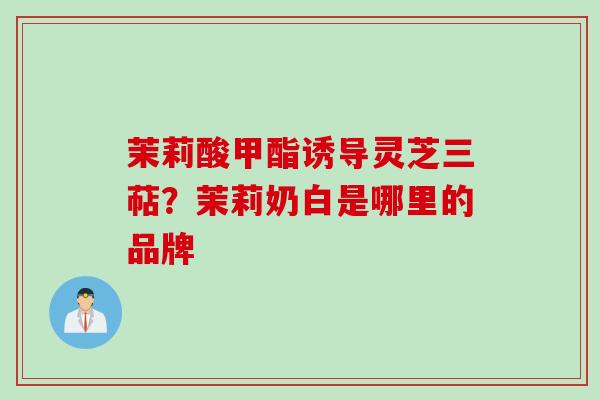 茉莉酸甲酯诱导灵芝三萜？茉莉奶白是哪里的品牌