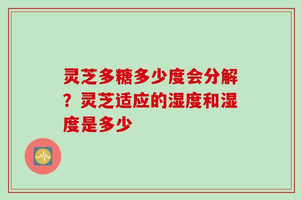 灵芝多糖多少度会分解？灵芝适应的湿度和湿度是多少