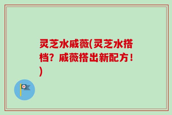 灵芝水戚薇(灵芝水搭档？戚薇搭出新配方！)