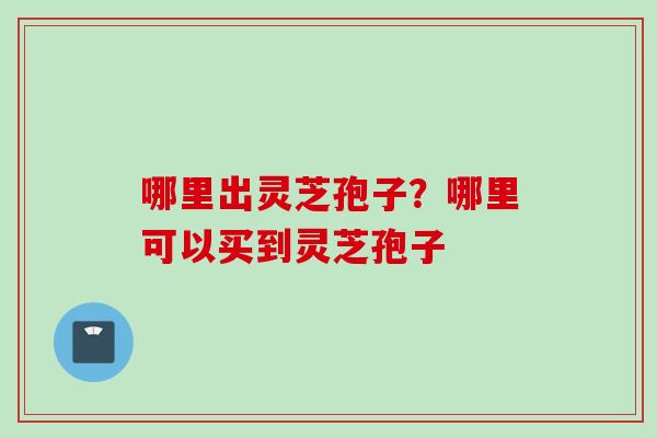 哪里出灵芝孢子？哪里可以买到灵芝孢子