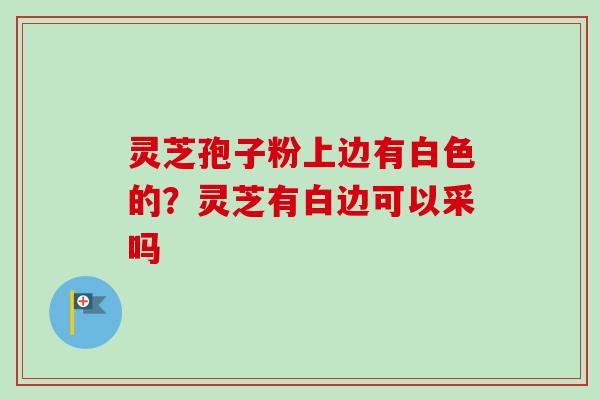 灵芝孢子粉上边有白色的？灵芝有白边可以采吗