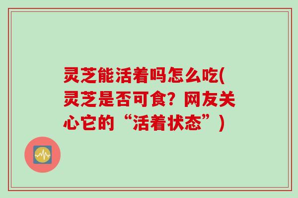 灵芝能活着吗怎么吃(灵芝是否可食？网友关心它的“活着状态”)