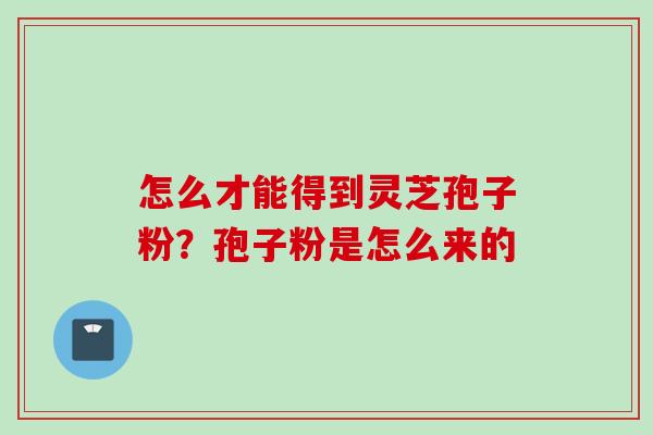 怎么才能得到灵芝孢子粉？孢子粉是怎么来的