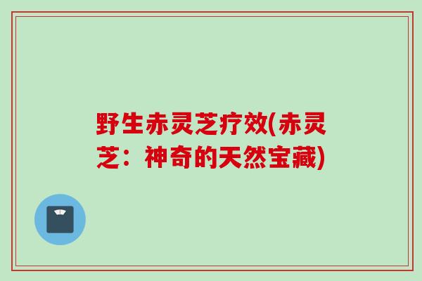 野生赤灵芝疗效(赤灵芝：神奇的天然宝藏)