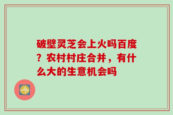 破壁灵芝会上火吗百度？农村村庄合并，有什么大的生意机会吗