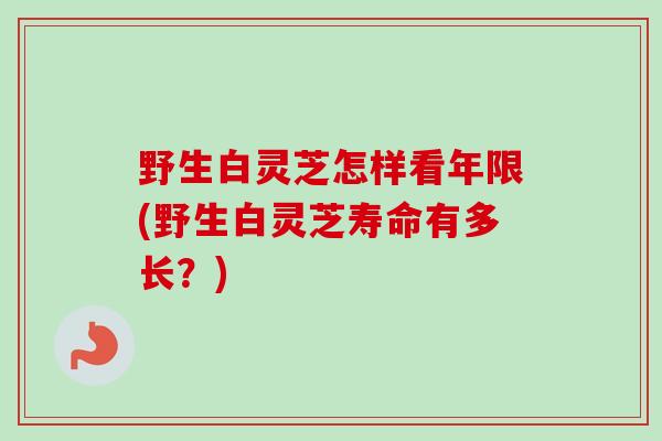 野生白灵芝怎样看年限(野生白灵芝寿命有多长？)