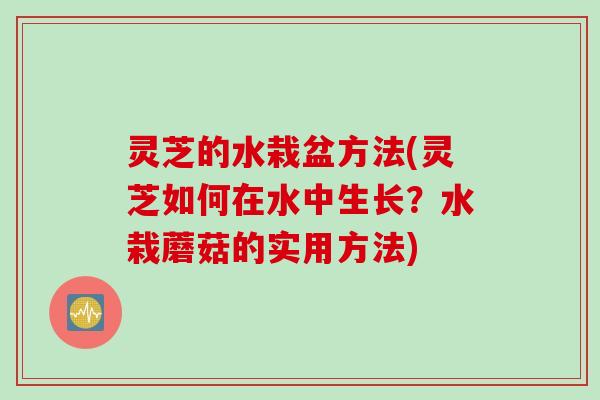 灵芝的水栽盆方法(灵芝如何在水中生长？水栽蘑菇的实用方法)