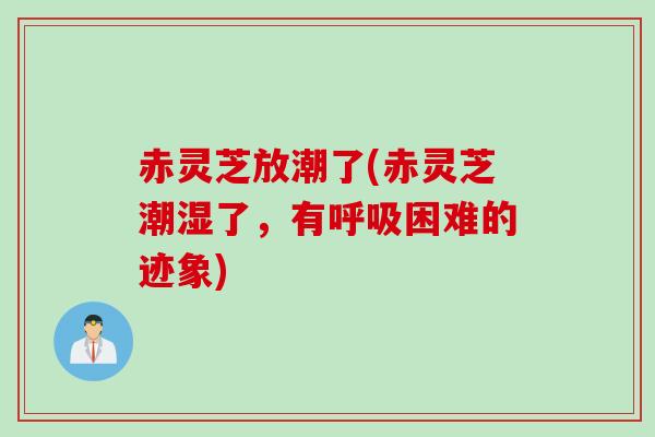 赤灵芝放潮了(赤灵芝潮湿了，有呼吸困难的迹象)