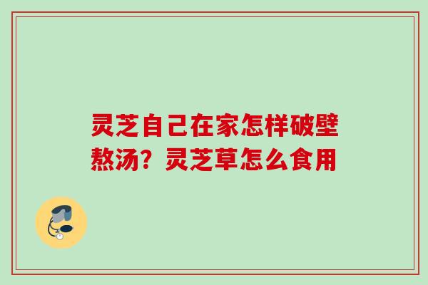 灵芝自己在家怎样破壁熬汤？灵芝草怎么食用