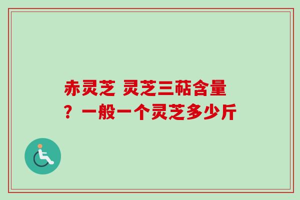 赤灵芝 灵芝三萜含量？一般一个灵芝多少斤