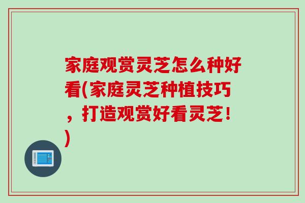 家庭观赏灵芝怎么种好看(家庭灵芝种植技巧，打造观赏好看灵芝！)