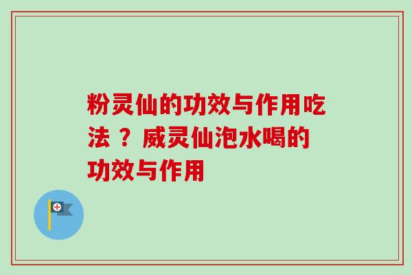 粉灵仙的功效与作用吃法 ？威灵仙泡水喝的功效与作用