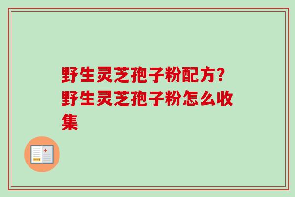 野生灵芝孢子粉配方？野生灵芝孢子粉怎么收集