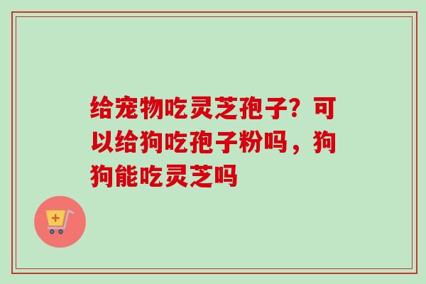 给宠物吃灵芝孢子？可以给狗吃孢子粉吗，狗狗能吃灵芝吗
