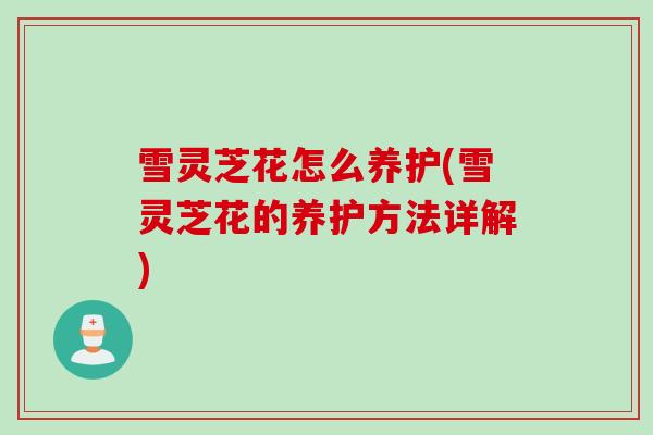 雪灵芝花怎么养护(雪灵芝花的养护方法详解)