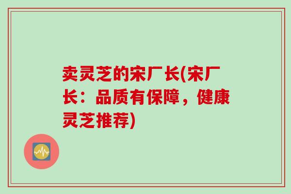 卖灵芝的宋厂长(宋厂长：品质有保障，健康灵芝推荐)