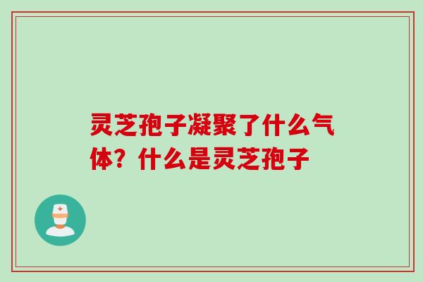 灵芝孢子凝聚了什么气体？什么是灵芝孢子