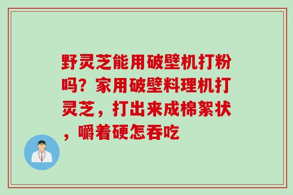 野灵芝能用破壁机打粉吗？家用破壁料理机打灵芝，打出来成棉絮状，嚼着硬怎吞吃