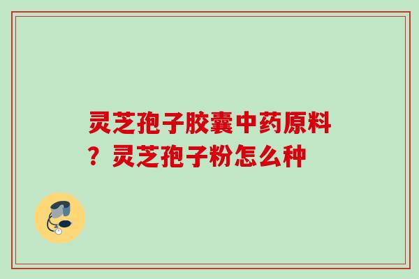 灵芝孢子胶囊原料?灵芝孢子粉怎么种 灵芝孢子胶囊原料?灵芝孢子粉怎么种