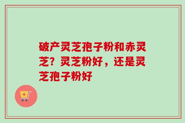 破产灵芝孢子粉和赤灵芝？灵芝粉好，还是灵芝孢子粉好