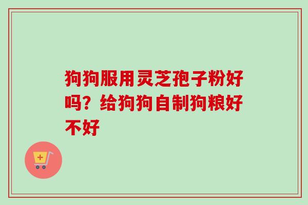 狗狗服用灵芝孢子粉好吗？给狗狗自制狗粮好不好