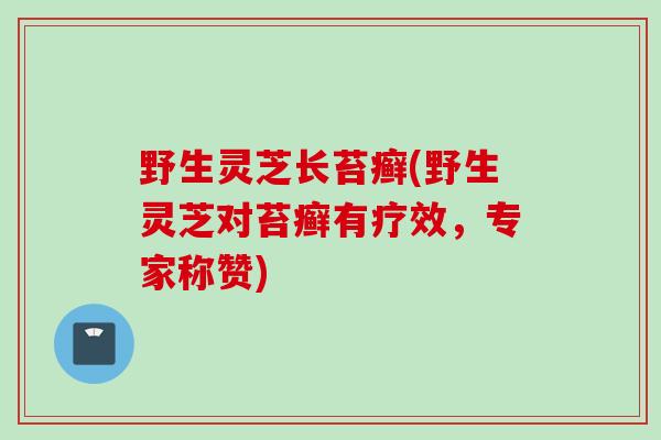 野生灵芝长苔癣(野生灵芝对苔癣有疗效,专家称赞) 野生灵芝长苔癣(野生灵芝对苔癣有疗效,专家称赞)