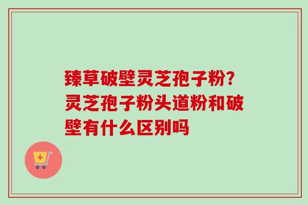臻草破壁灵芝孢子粉？灵芝孢子粉头道粉和破壁有什么区别吗