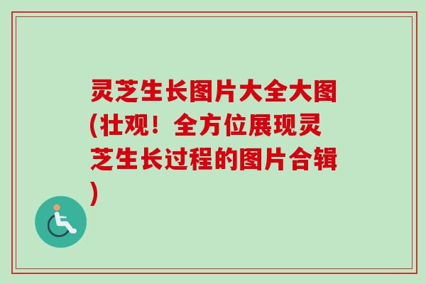 灵芝生长图片大全大图(壮观！全方位展现灵芝生长过程的图片合辑)