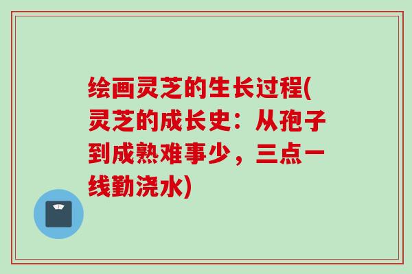 绘画灵芝的生长过程(灵芝的成长史:从孢子到成熟难事少,三点一线勤浇水) 绘画灵芝的生长过程(灵芝的成长史:从孢子到成熟难事少,三点一线勤浇水)