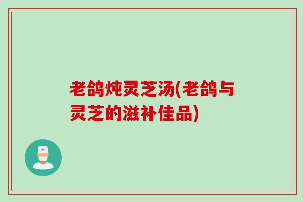 老鸽炖灵芝汤(老鸽与灵芝的滋补佳品)