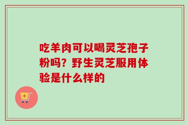 吃羊肉可以喝灵芝孢子粉吗？野生灵芝服用体验是什么样的