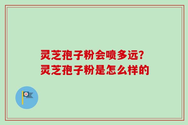 灵芝孢子粉会喷多远？灵芝孢子粉是怎么样的