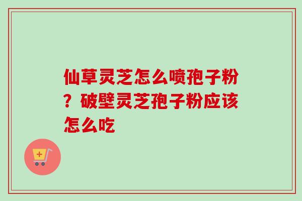 仙草灵芝怎么喷孢子粉？破壁灵芝孢子粉应该怎么吃